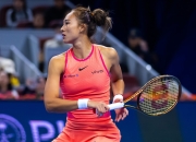  萨巴伦卡为啥没有国旗 